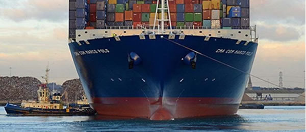 A Aliança P3 e Portugal